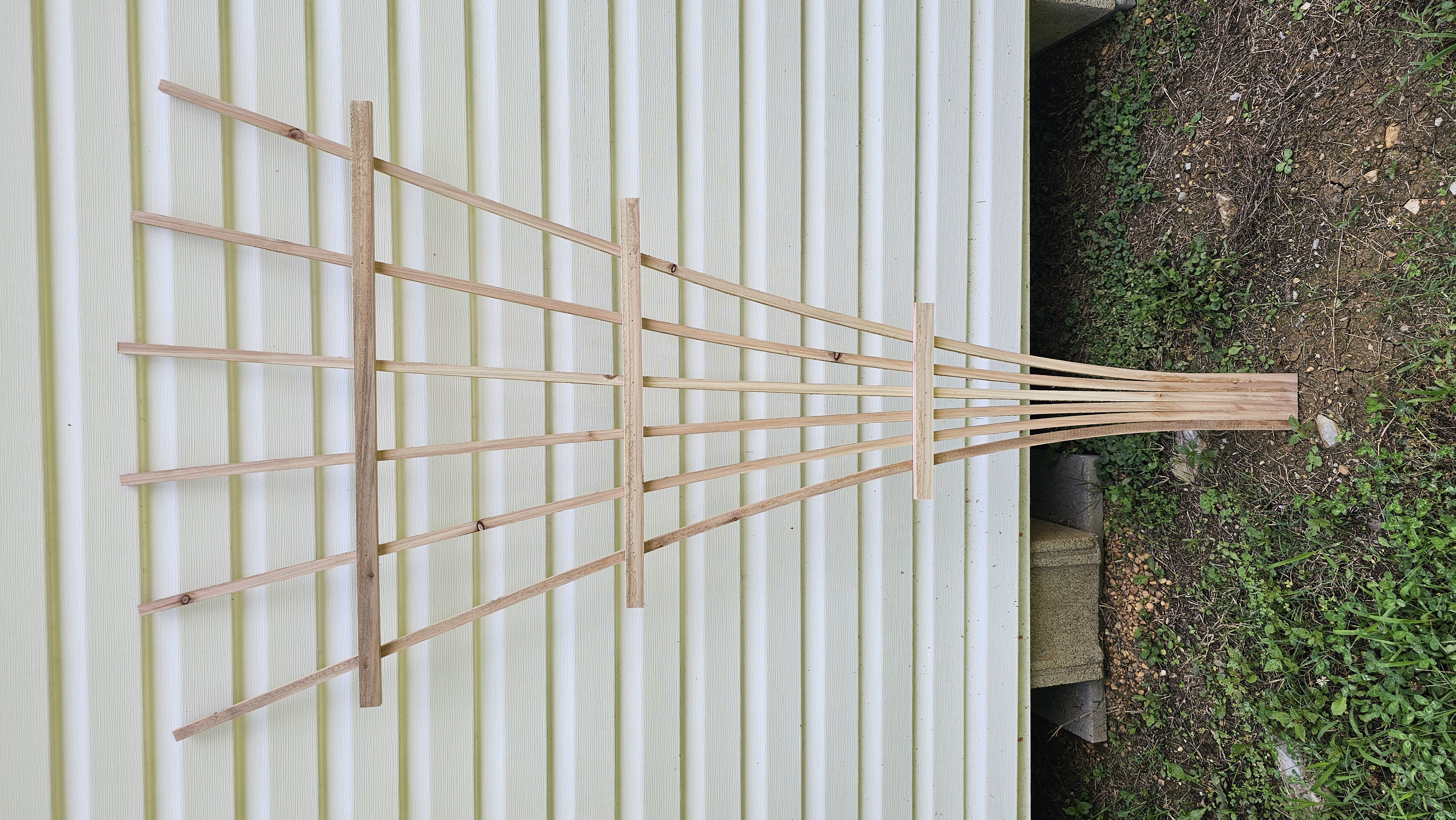 Arbor Fan 6-tine